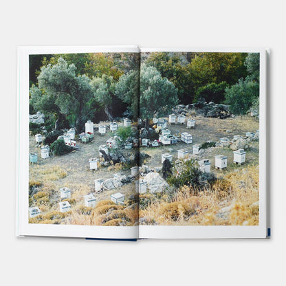 Greece:The Cookbook – Vefa Alexiadou - Diavazo Greek Books